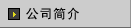 ��˾���