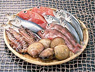 PHOTO 02 : ����Һ&��ζƷ