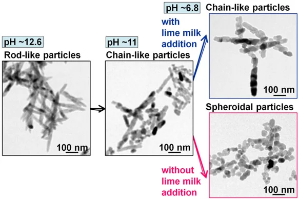 電子顕微鏡を用いて解析した粒子形成機構の図