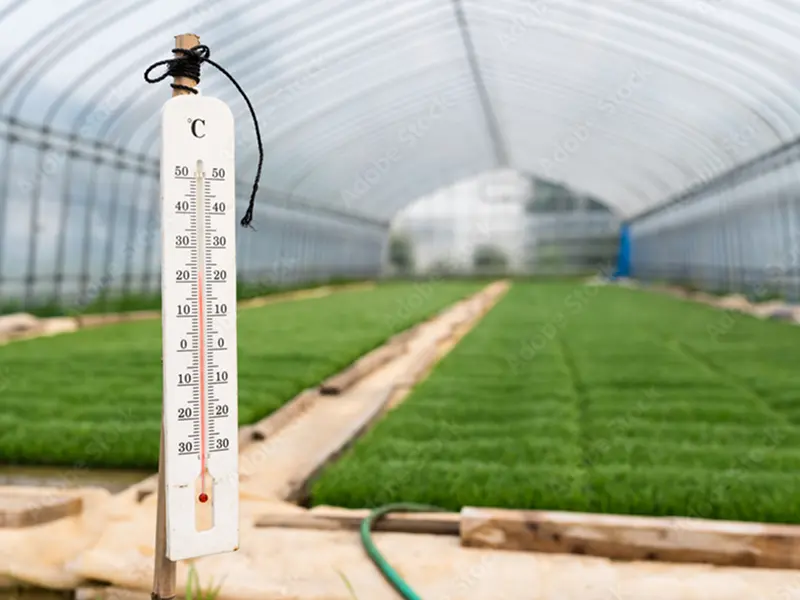 ハウス遮光資材「ホワイトクール」
