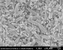 Calcite spindle-shaped particles