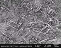 Aragonite needle-like particles