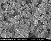 Vaterite plate-like particles