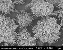 Aggregates (needle-like particles)