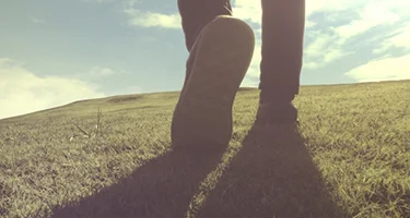 白石グループの理念・ビジョンへのリンクバナー