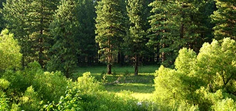 白石カルシウム株式会社の環境への取り組みについてへのリンクバナー