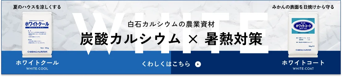 暑熱対策に白石カルシウムの農業資材「ホワイトクール」「ホワイトコート」のページを見る